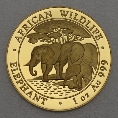 Goldmünze 1oz "Elefant" 2013 African Wildlife (Somalia) - Miniaturansicht 1
