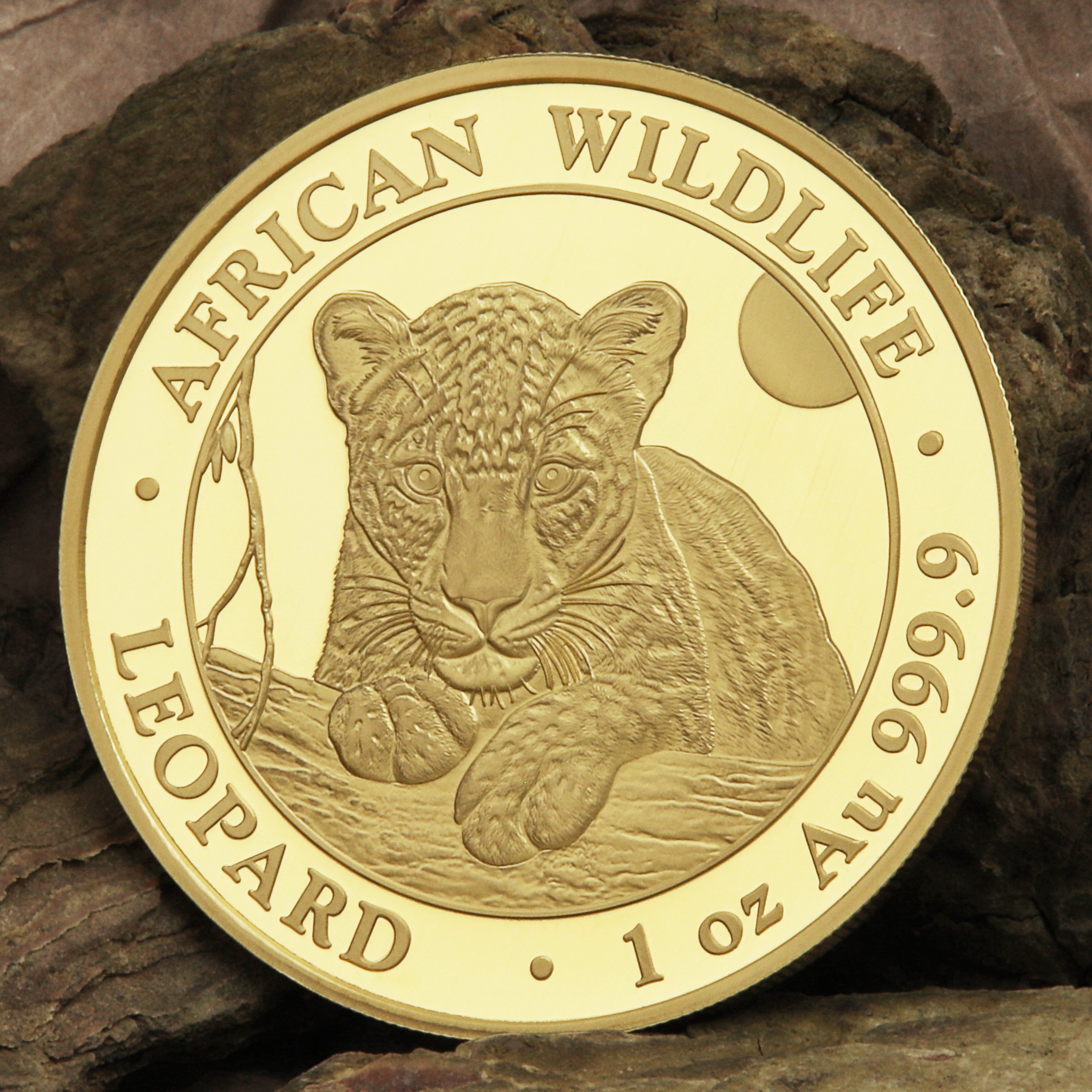 Goldmünze 1oz "Leopard" 2025 African Wildlife (Somalia) - Detailansicht 4