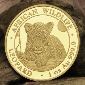 Goldmünze 1oz "Leopard" 2025 African Wildlife (Somalia) - Miniaturansicht 5
