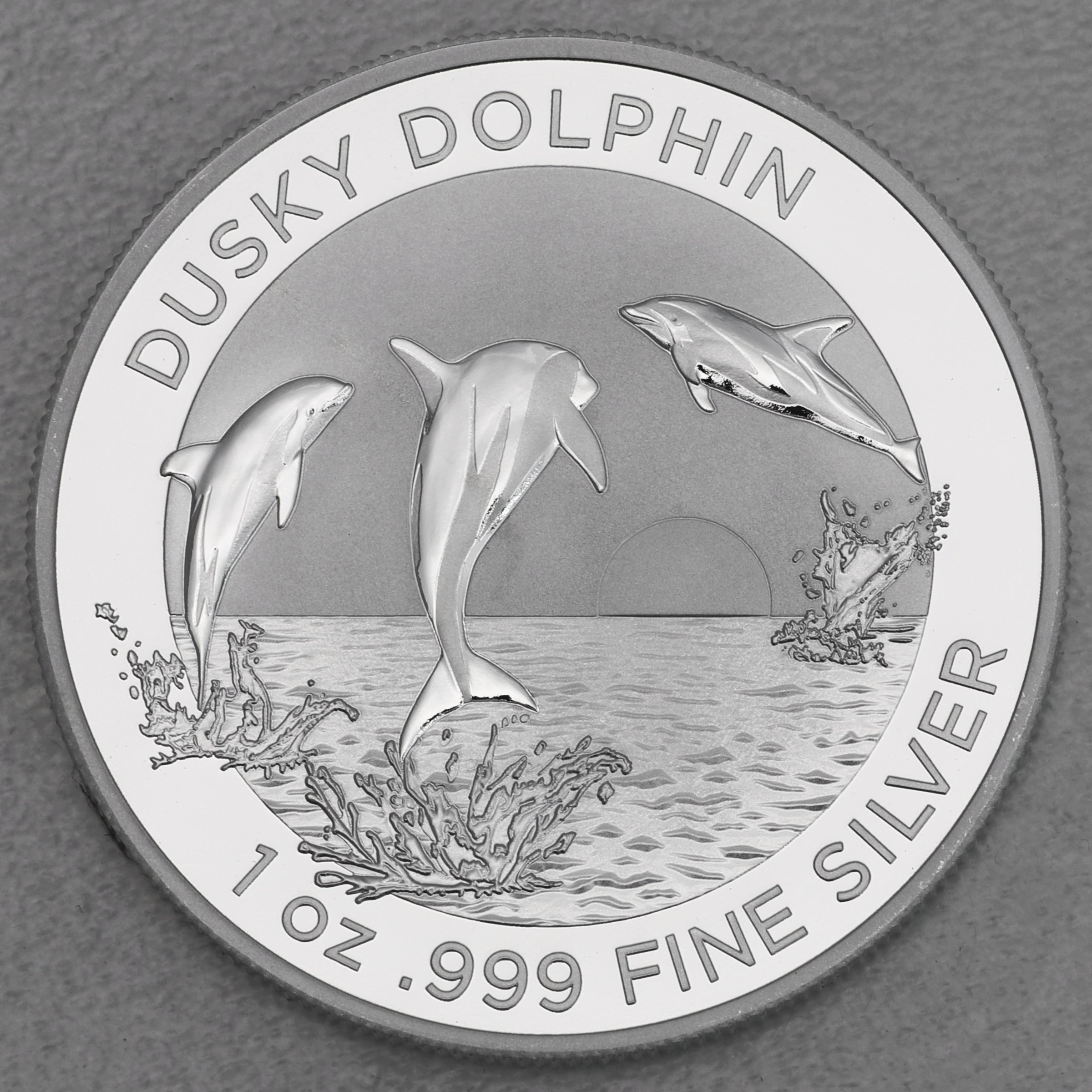 Silbermünze 1oz "Dusky Dolphin" 2022 (RAM) (Australien) - Hauptansicht