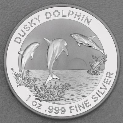Silbermünze 1oz "Dusky Dolphin" 2022 (RAM) (Australien) - Hauptansicht