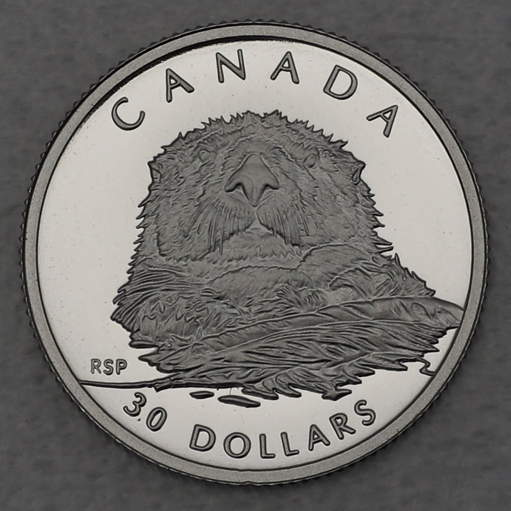 Platinmünze 1/10oz "Sea Otters" 1994 Wildlife Canada (Kanada) - Hauptansicht