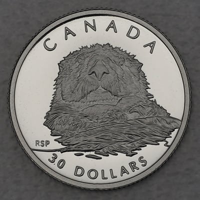 Platinmünze 1/10oz "Sea Otters" 1994 Wildlife Canada (Kanada) - Miniaturansicht 1