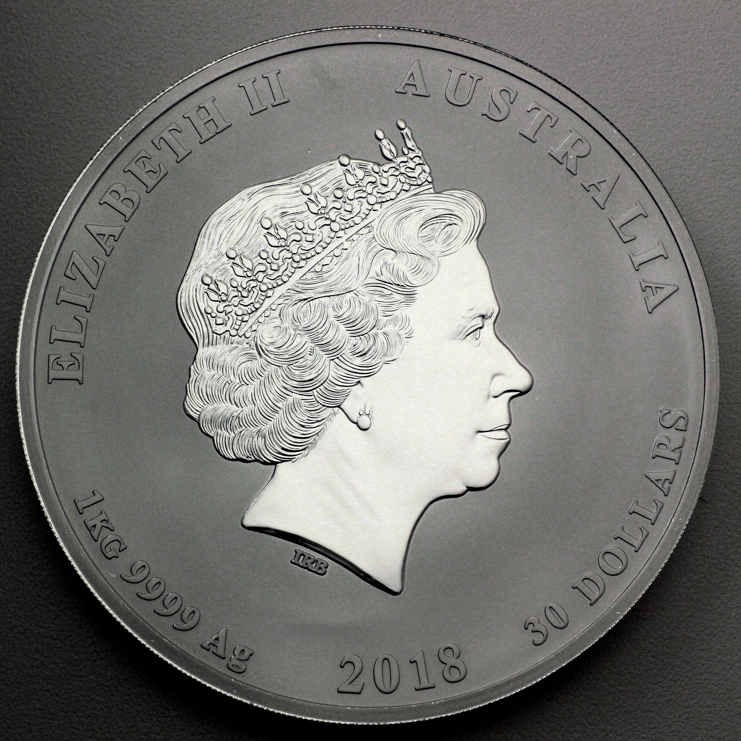 Silbermünze 1kg "Hund" 2018 Lunar II – Year of the Dog (Australien) - Detailansicht 1