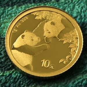 Goldmünze 1g "Panda" 2023 (China) - Miniaturansicht 5