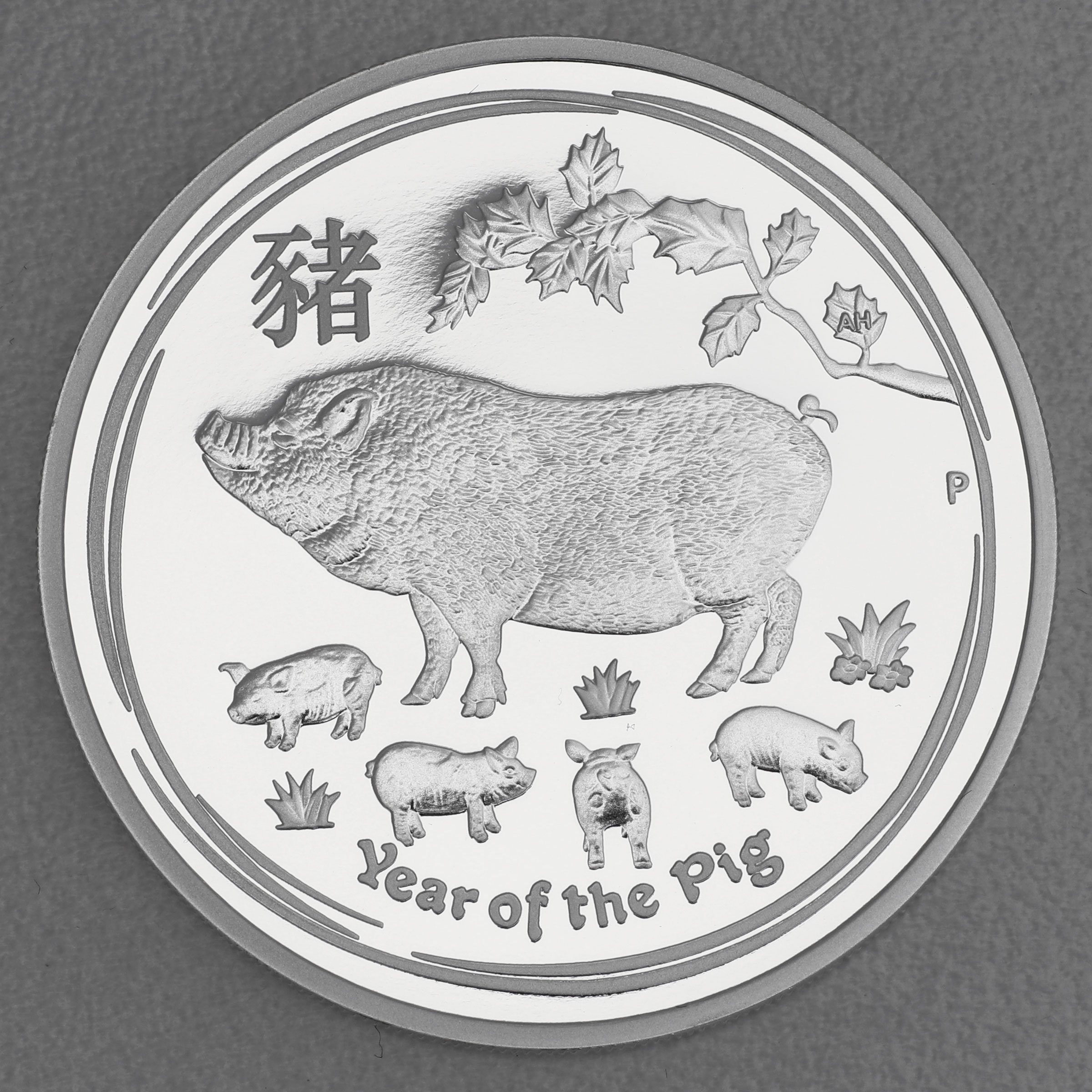 Silbermünze 1oz "Schwein" 2019 (PP) Lunar II – Year of the Pig (Australien) - Hauptansicht