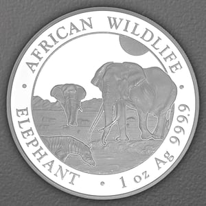 Silbermünze 1oz "Elefant" 2026 African Wildlife 19% (Somalia) - Hauptansicht
