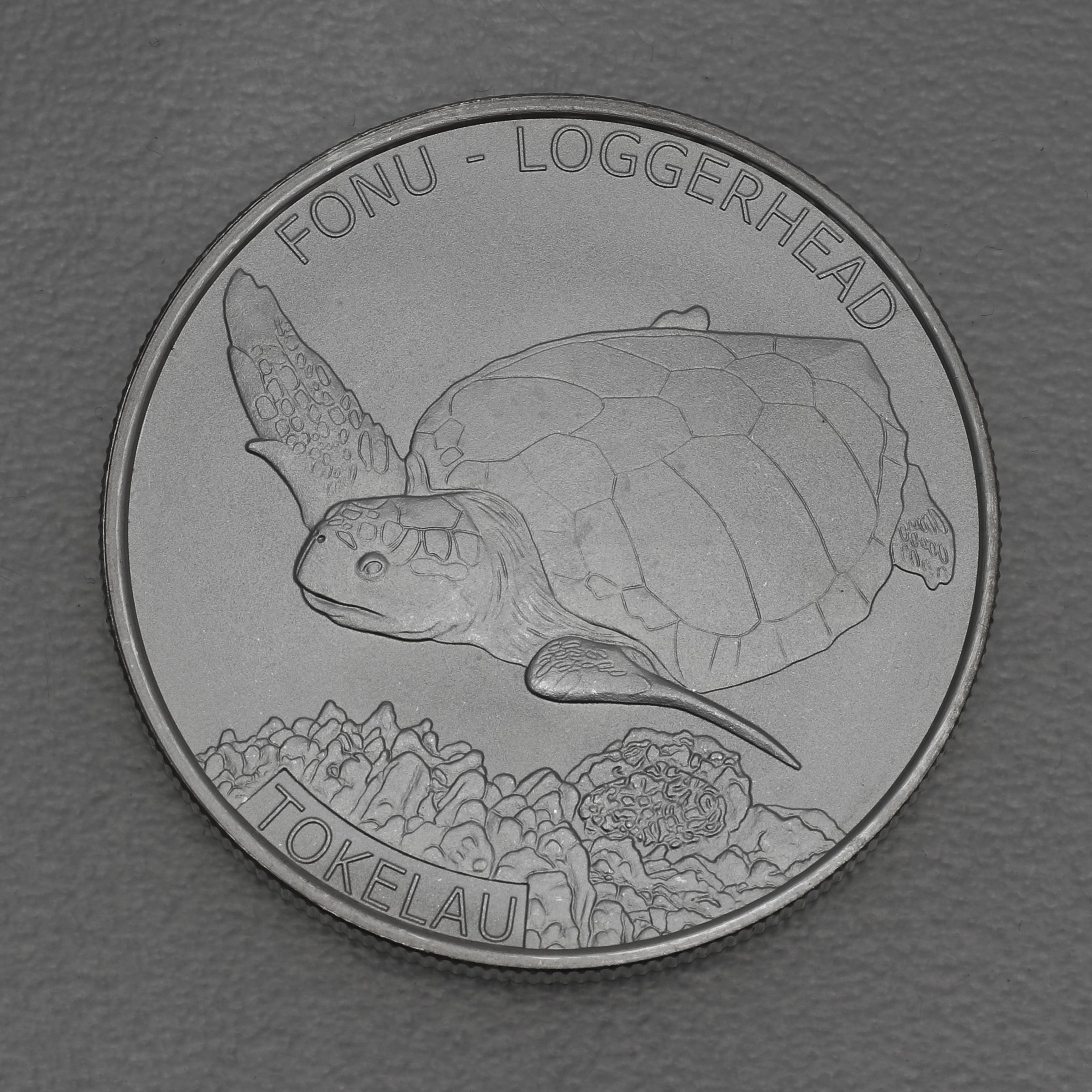 Silbermünze 1oz "Fonu – Loggerhead Turtle" 2019 Territory of Tokelau (Tokelau) - Hauptansicht
