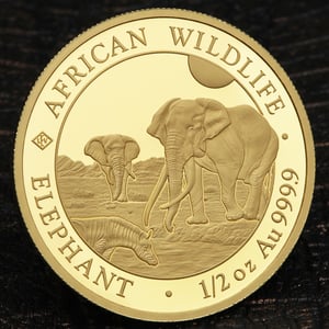 Goldmünze 1/2oz "Elefant" 2026 African Wildlife (Somalia) - Miniaturansicht 5