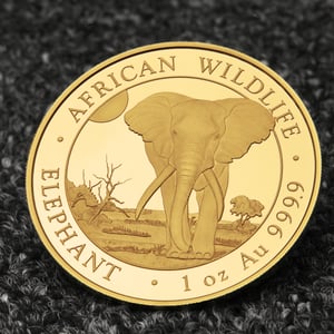 Goldmünze 1oz "Elefant" 2025 African Wildlife (Somalia) - Miniaturansicht 5