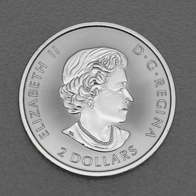 Silbermünze 1/2oz "Polarbär" 2018 (Kanada) - Miniaturansicht 2