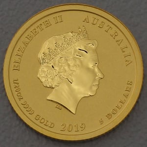 Goldmünze 1/20oz "Schwein" 2019 Lunar II – Year of the Pig (Australien) - Miniaturansicht 2