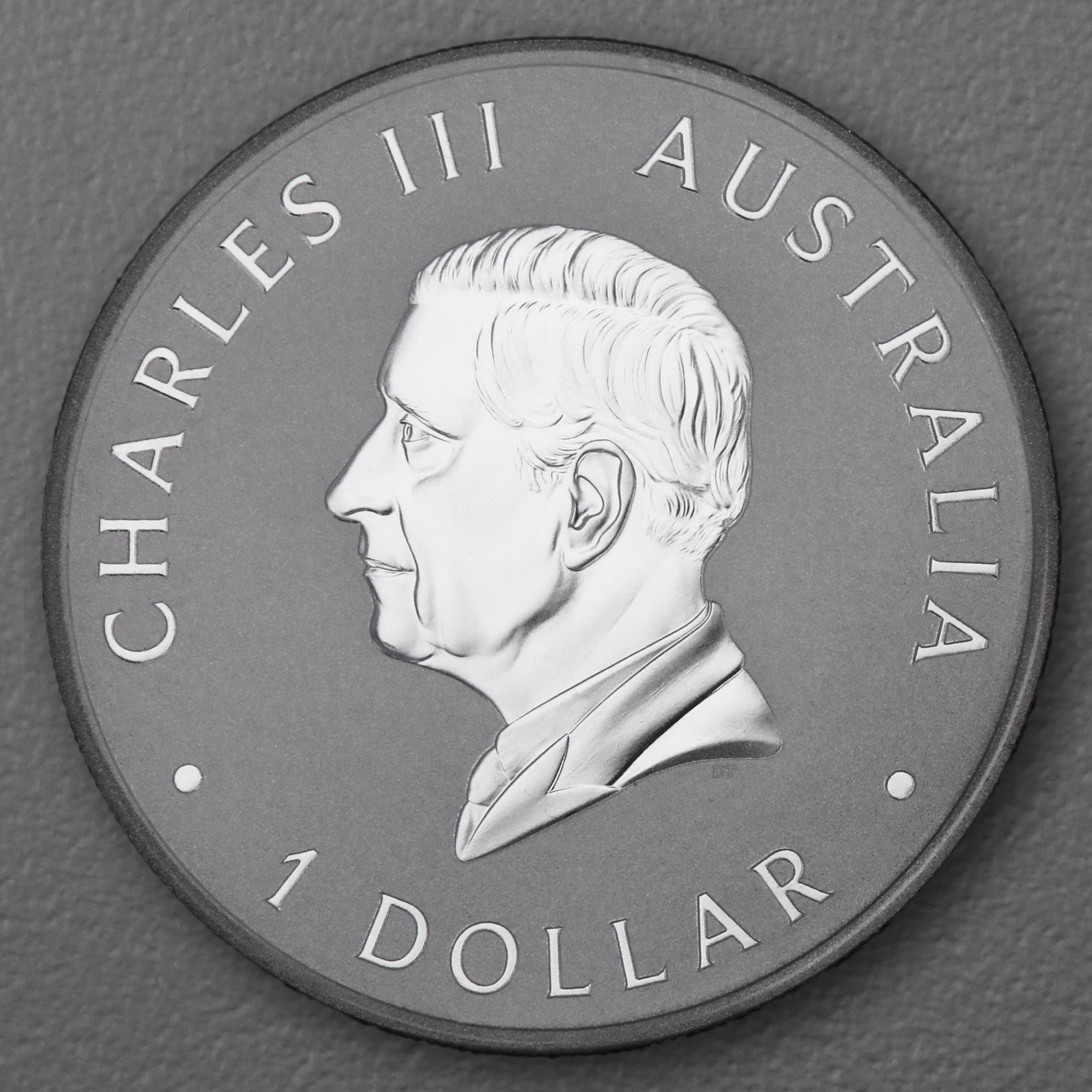 Silbermünze 1oz "Wombat" 2024 (koloriert) (Australien) - Detailansicht 1