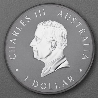 Silbermünze 1oz "Wombat" 2024 (koloriert) (Australien) - Miniaturansicht 2