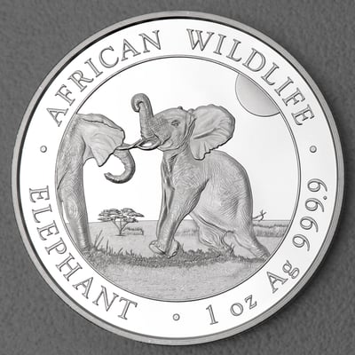 Silbermünze 1oz "Elefant" 2024 African Wildlife diff. (Somalia) - Hauptansicht