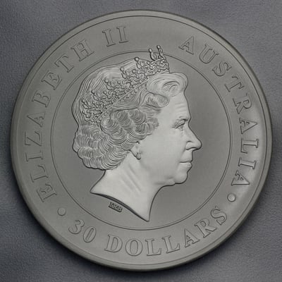 Silbermünze 1kg "Koala" 2016 (Australien) - Miniaturansicht 2