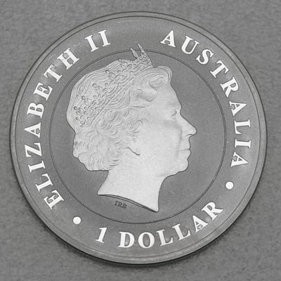 Silbermünze 1oz "Saltwater Crocodile" 2014 (Australien) diff. - Miniaturansicht 2