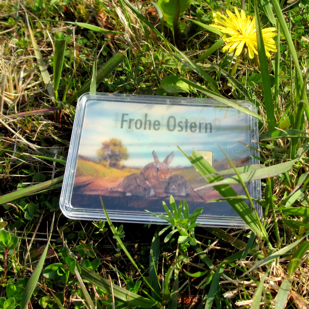 Goldbarren 1g "Osterhasen auf Wiese" (Flip) - Detailansicht 4