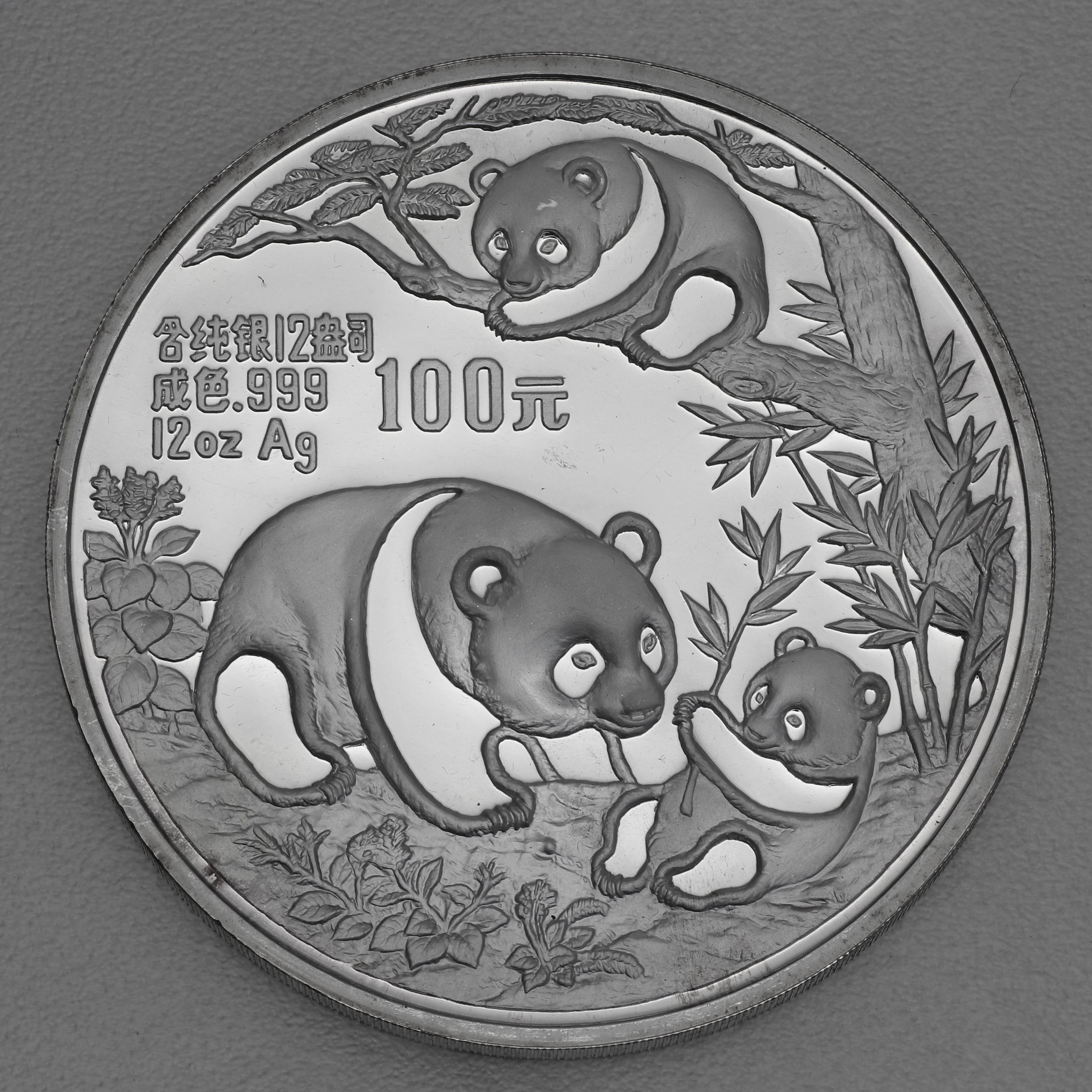 Silbermünze 12oz "Panda" 1991 (China) - Hauptansicht