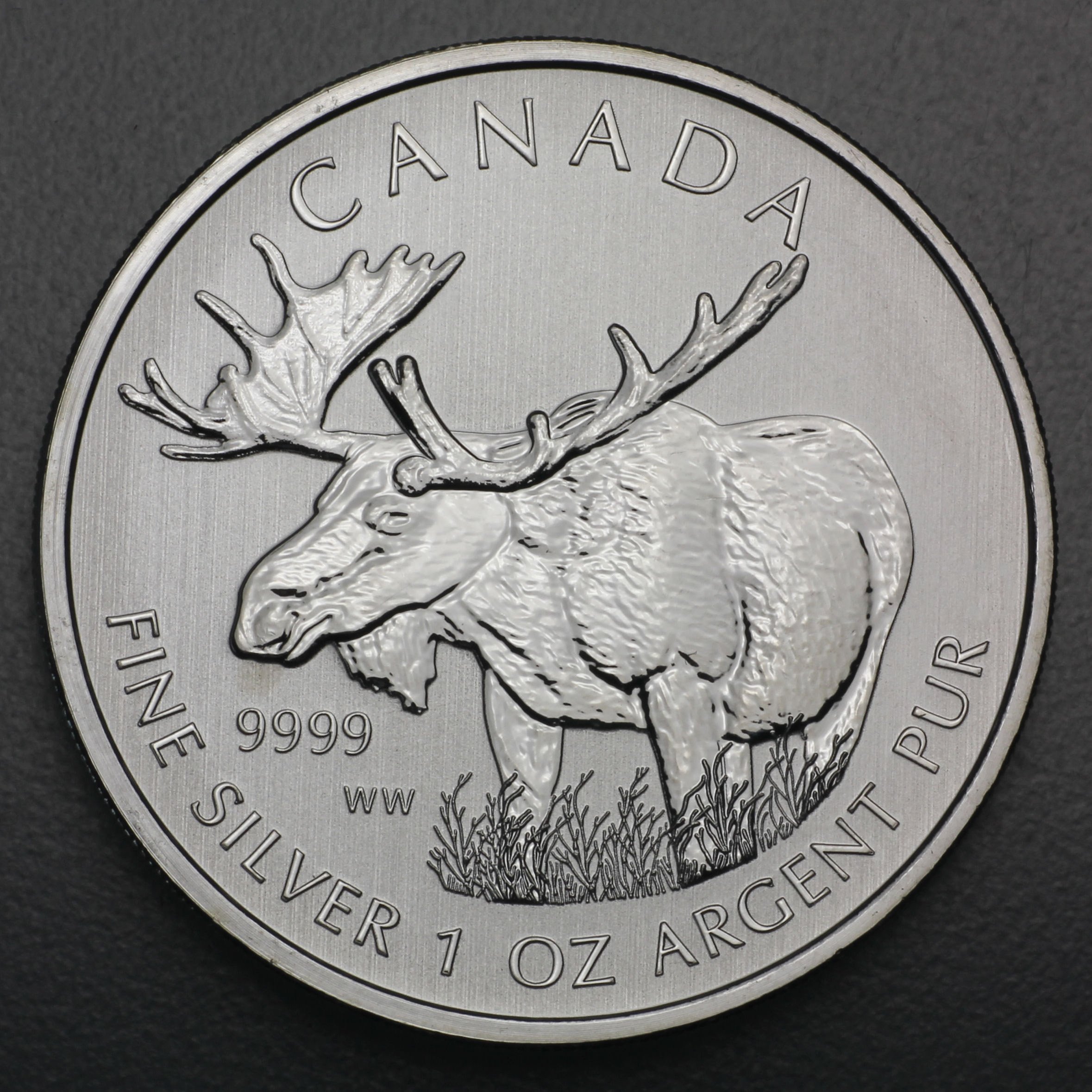 Silbermünze 1oz "Elch" 2012 Wildlife Canada (Kanada) - Hauptansicht