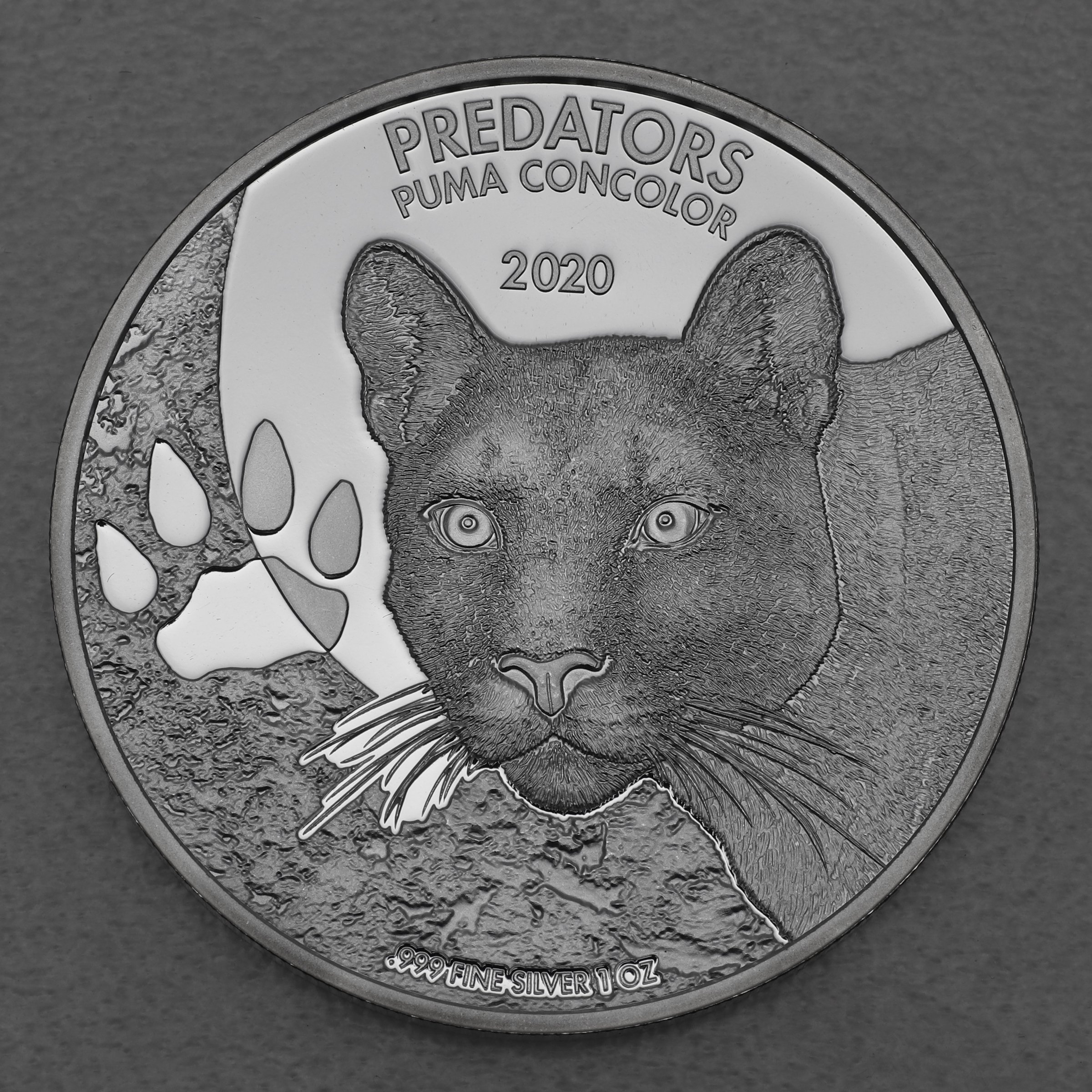 Silbermünze 1oz "Puma" 2020 Predators (Kongo) - Hauptansicht