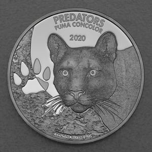 Silbermünze 1oz "Puma" 2020 Predators (Kongo) - Miniaturansicht 1
