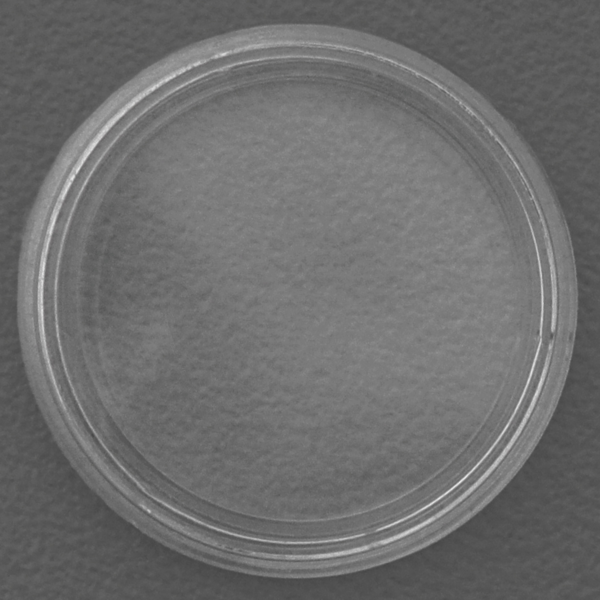 Münzkapseln 21mm 10er-Packung - Detailansicht 1
