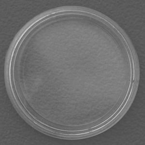 Münzkapseln 21mm 10er-Packung - Miniaturansicht 2