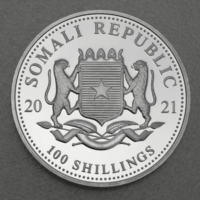 Silbermünze 1oz "Leopard" 2021 African Wildlife (Somalia) - Miniaturansicht 2