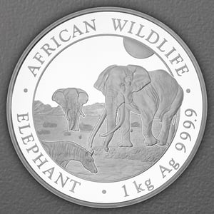 Silbermünze 1kg "Elefant" 2026 African Wildlife 19% (Somalia) - Hauptansicht
