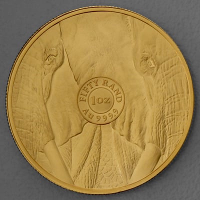 Goldmünze 1oz "Elefant" 2022 Big Five II (Südafrika) - Miniaturansicht 2