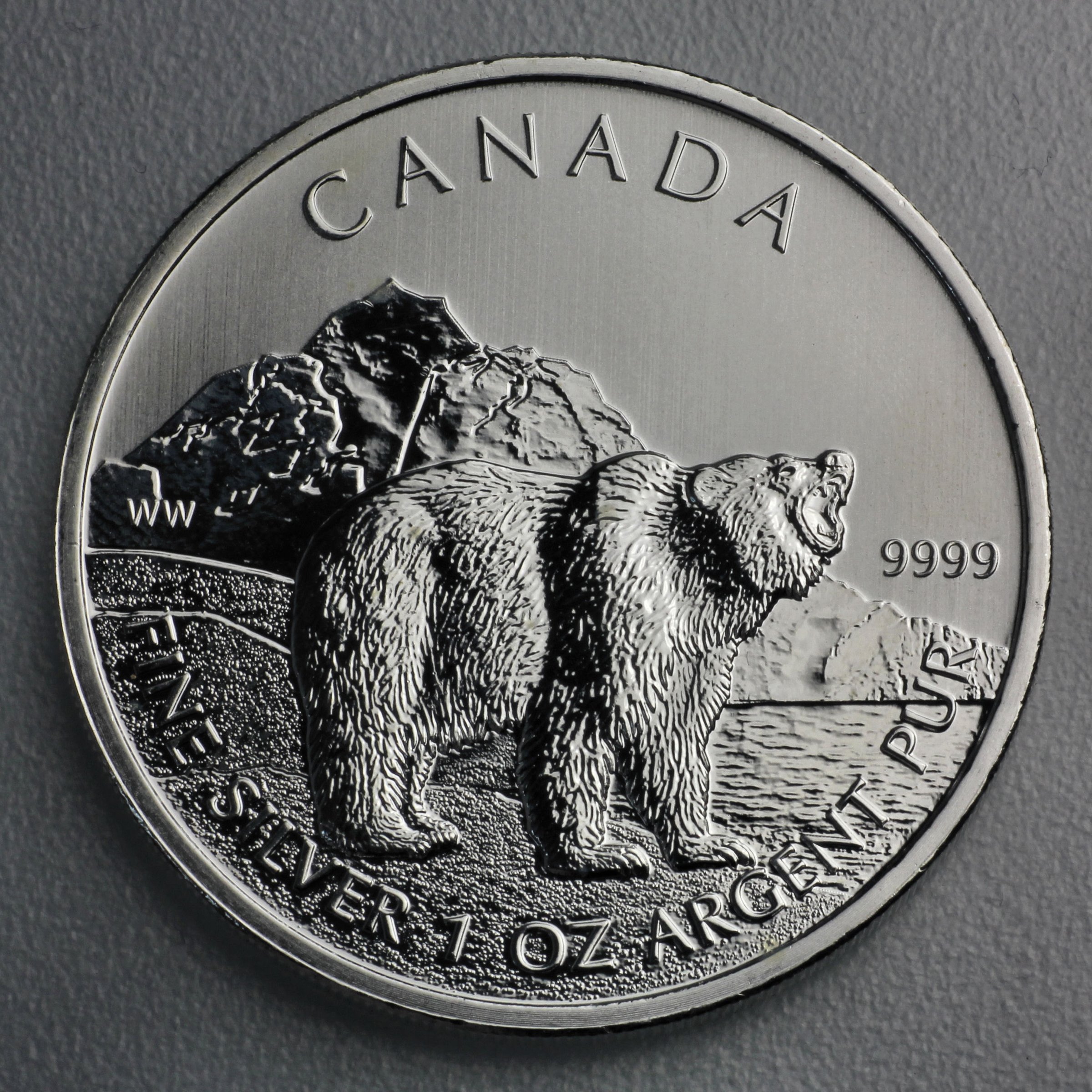 Silbermünze 1oz "Grizzly" 2011 Wildlife Canada (Kanada) - Hauptansicht