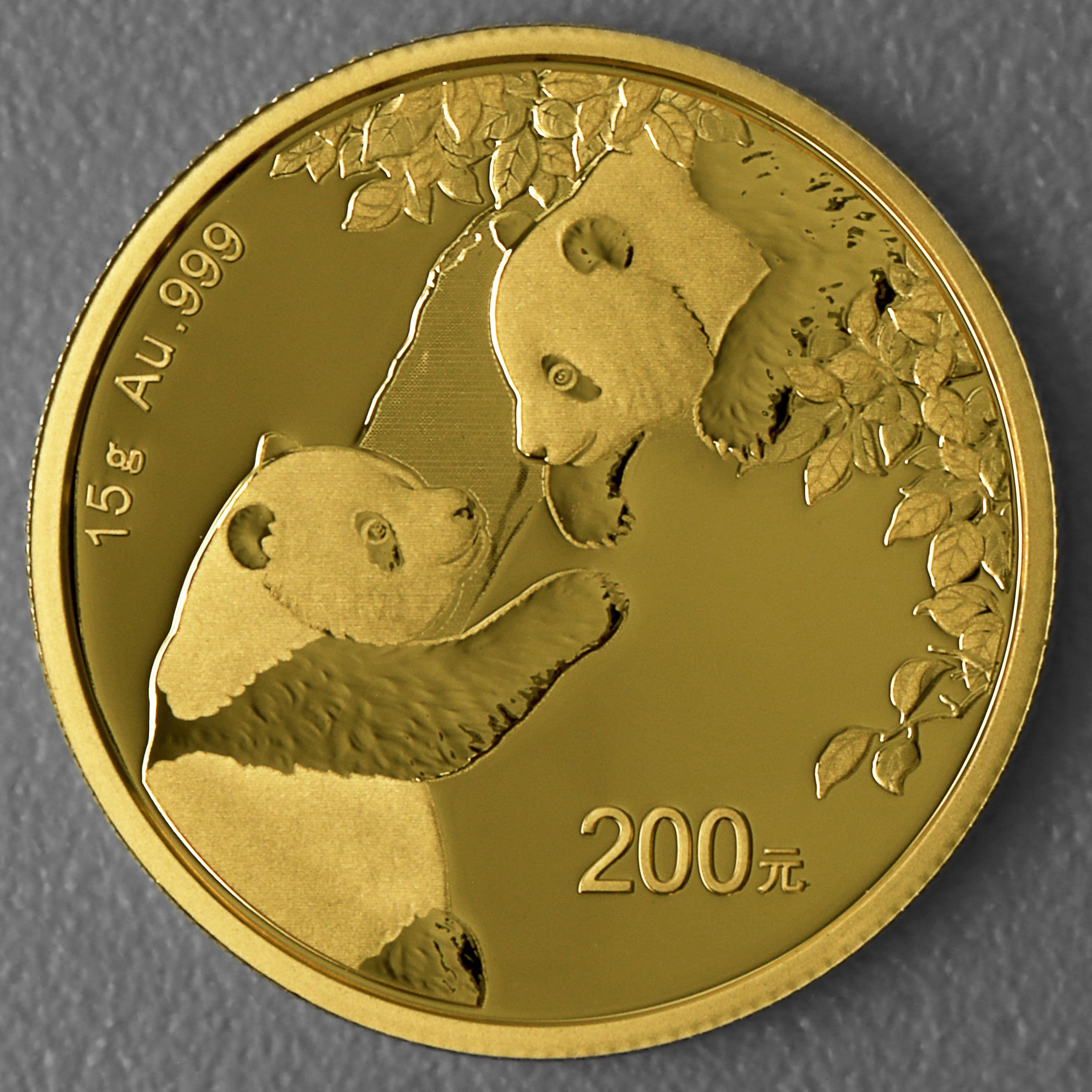 Goldmünze 15g "Panda" 2023 (China) - Hauptansicht