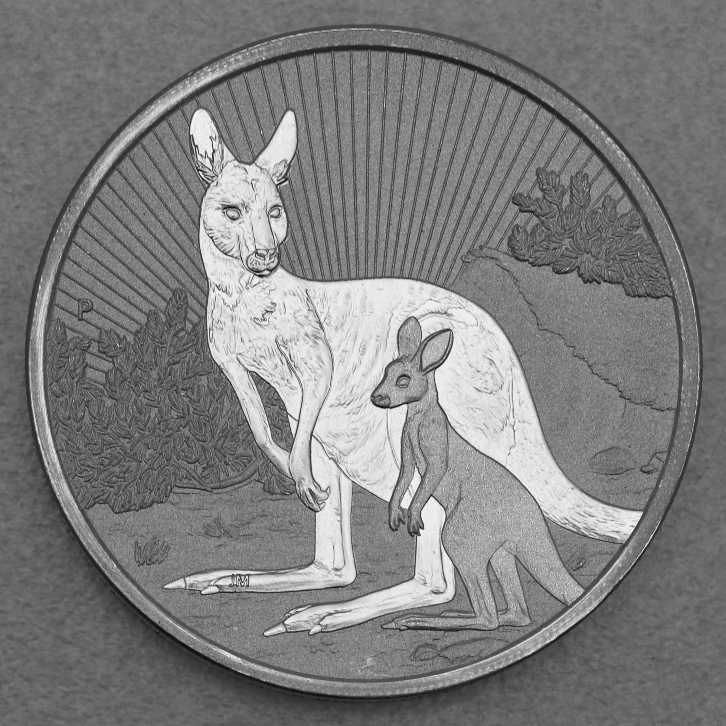 Silbermünze 2oz "Mother & Baby Känguru 2023" Next Generation diff. (Australien) - Hauptansicht