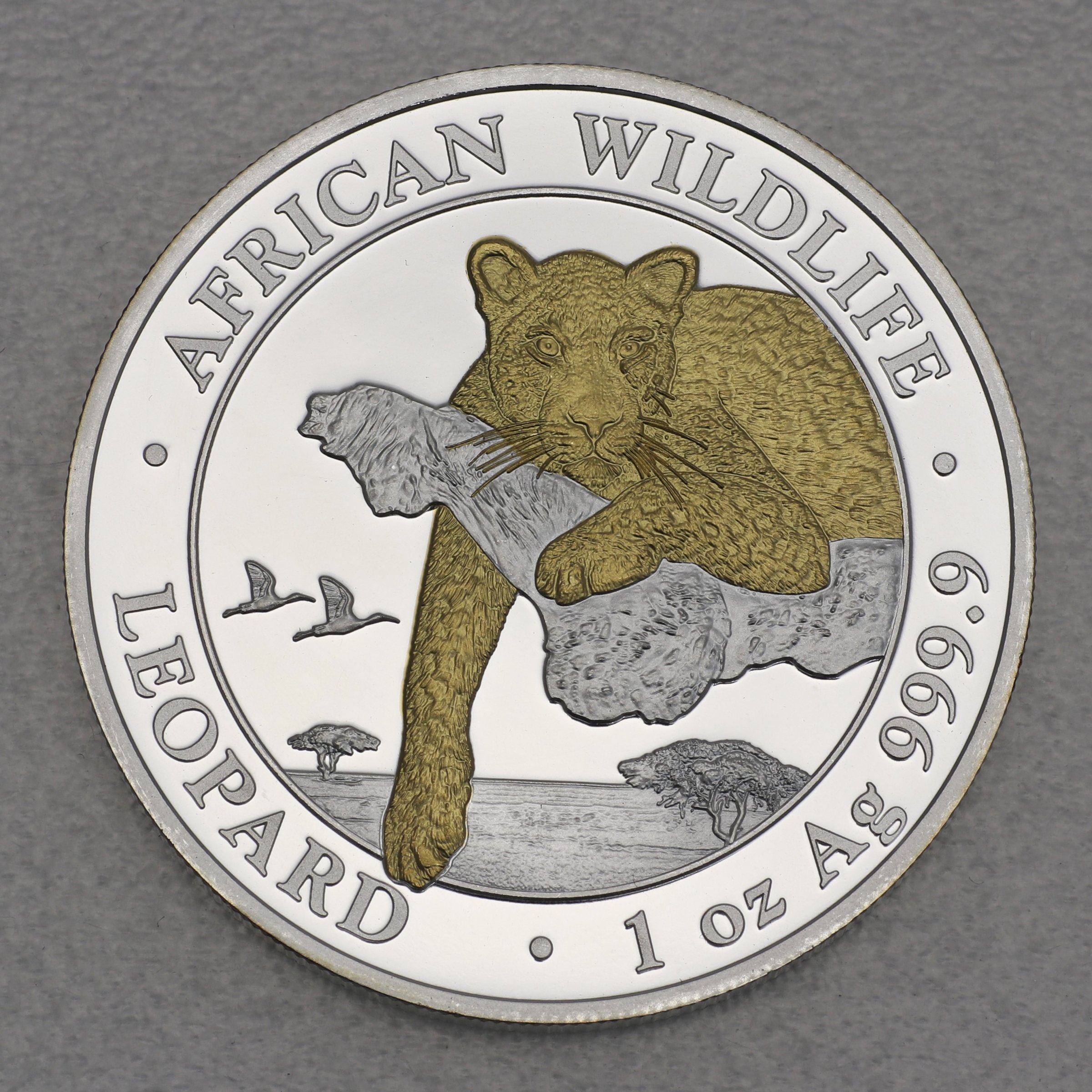 Silbermünze 1oz "Leopard" 2020 (vergoldet) African Wildlife (Somalia) - Hauptansicht