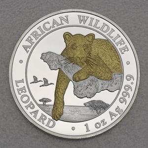 Silbermünze 1oz "Leopard" 2020 (vergoldet) African Wildlife (Somalia) - Miniaturansicht 1