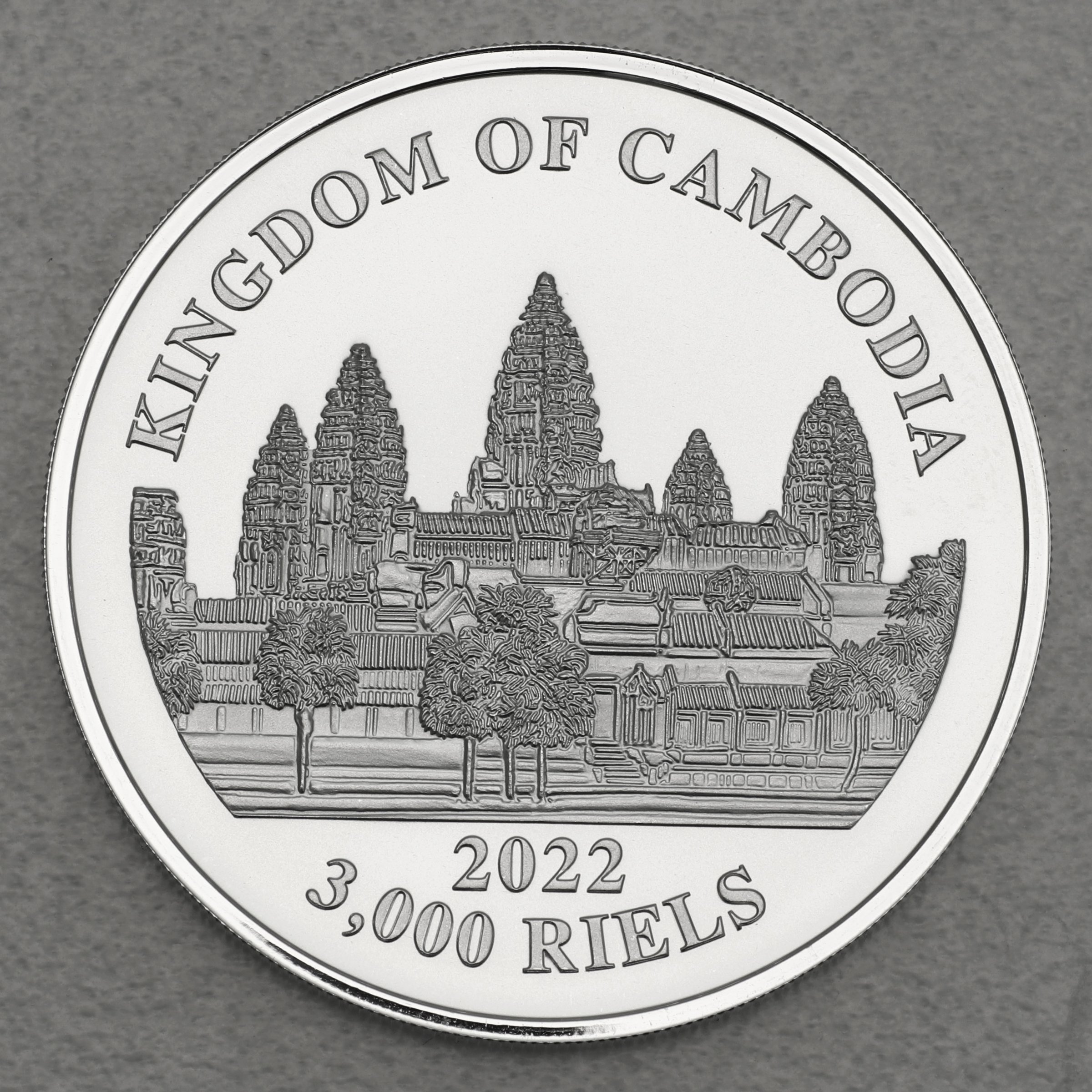 Silbermünze 1oz "Lost Tigers of Cambodia" 2022 (Kambodscha) - Detailansicht 1