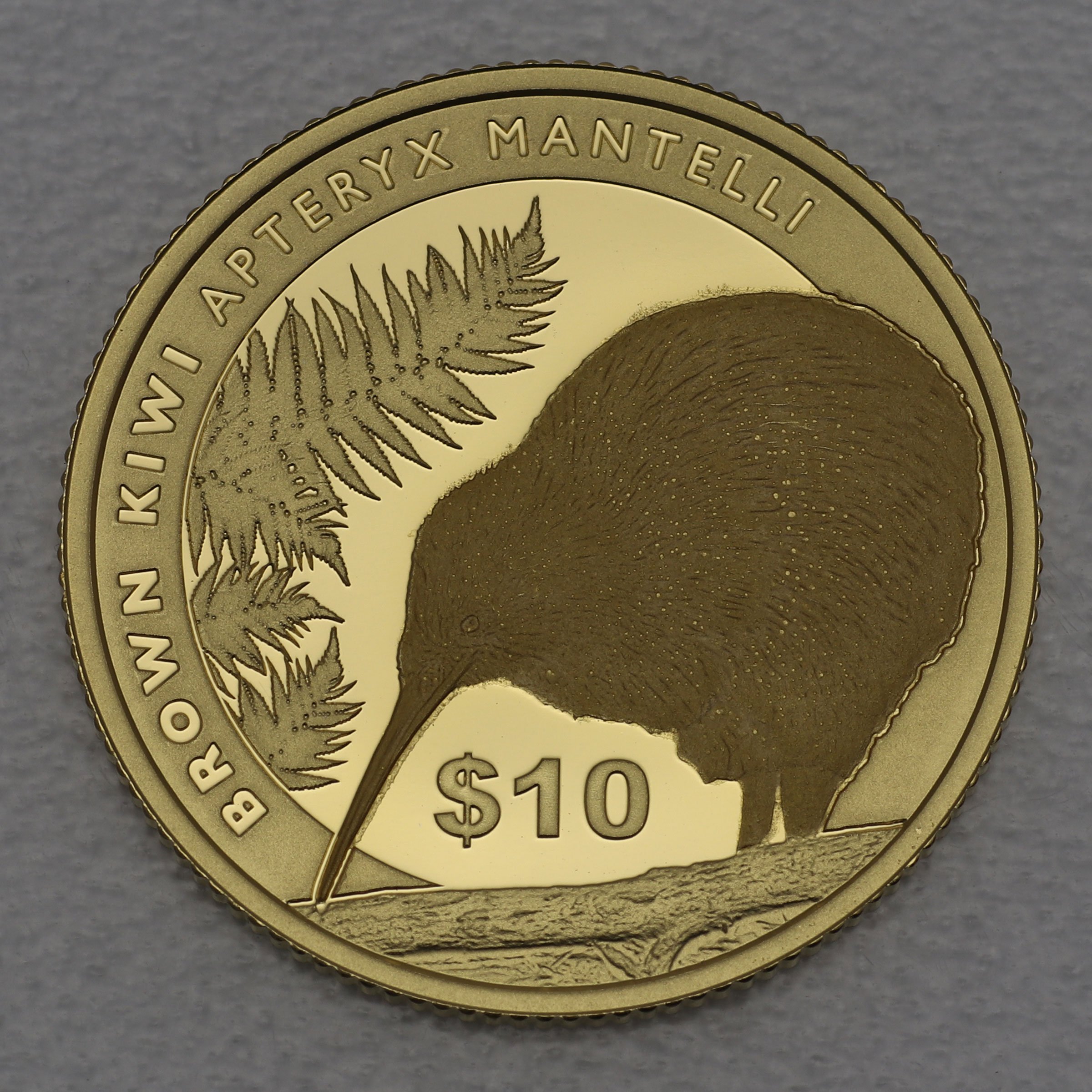 Goldmünze 1/4oz "Kiwi" 2015 (Neuseeland) - Hauptansicht