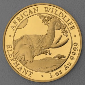 Goldmünze 1oz "Elefant" 2023 African Wildlife (Somalia) - Hauptansicht