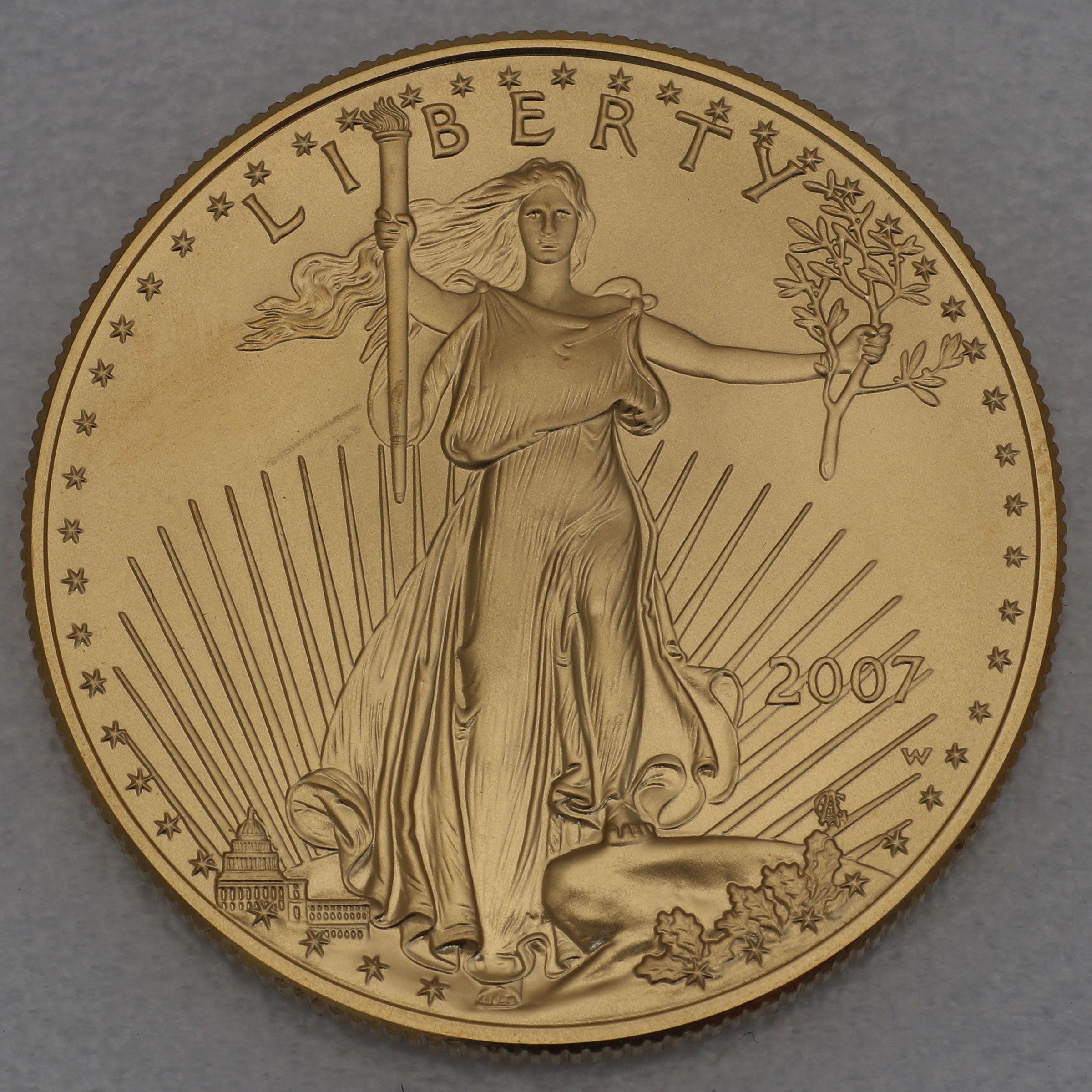Goldmünze 1oz "American Eagle" 2007 (USA) - Hauptansicht