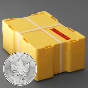 Silbermünze 500 x 1oz "Maple Leaf" aktueller Jahrgang Masterbox (Kanada) - Hauptansicht