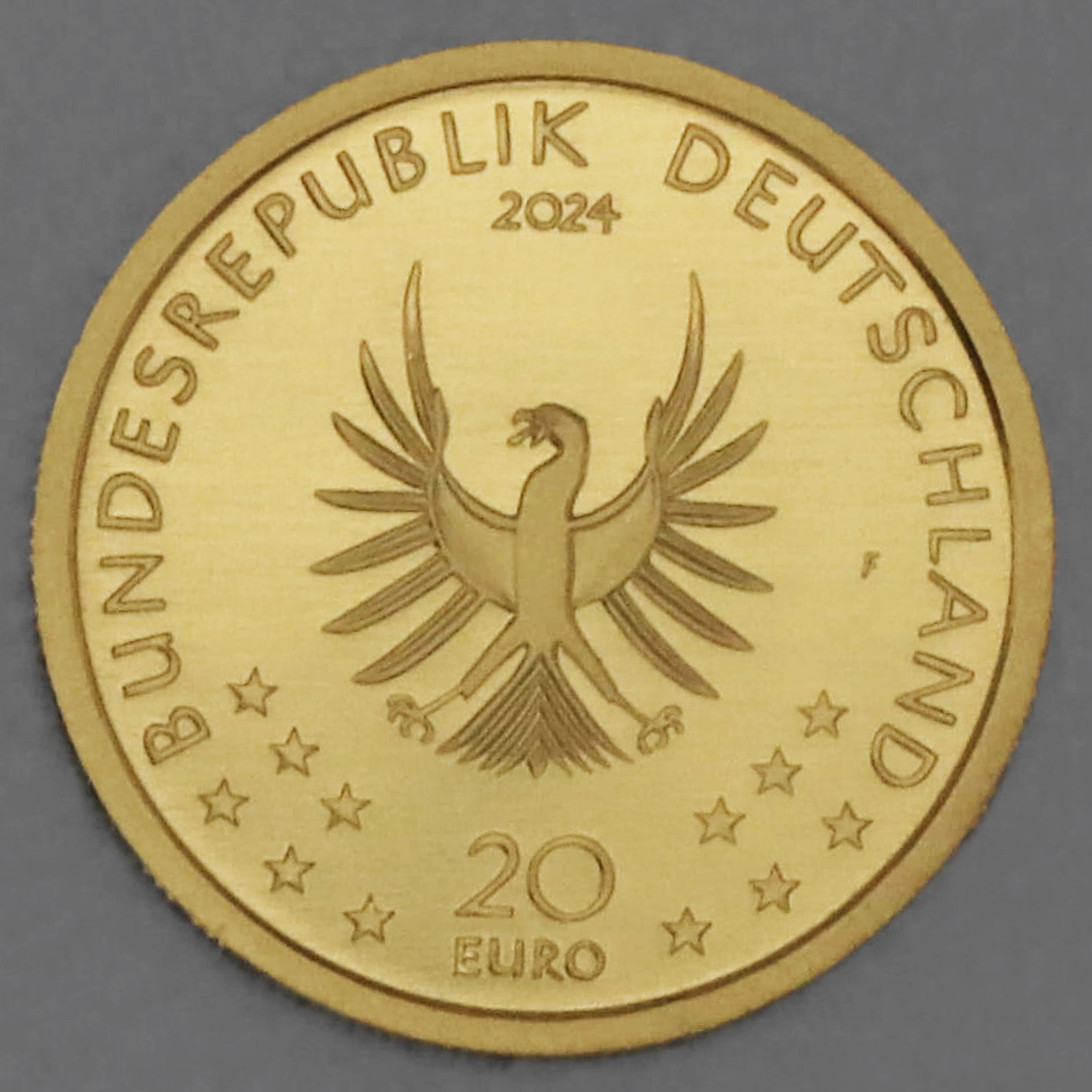 Goldmünze 20 Euro "Biber" 2024 Rückkehr der Wildtiere (Deutschland) - Detailansicht 1
