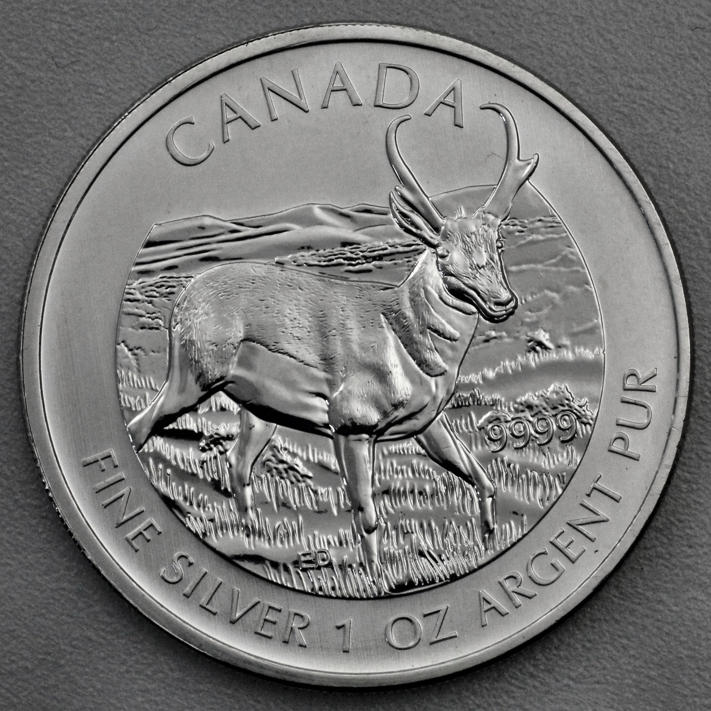Silbermünze 1oz "Antilope" 2013 Wildlife Canada (Kanada) - Hauptansicht