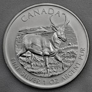 Silbermünze 1oz "Antilope" 2013 Wildlife Canada (Kanada) - Miniaturansicht 1