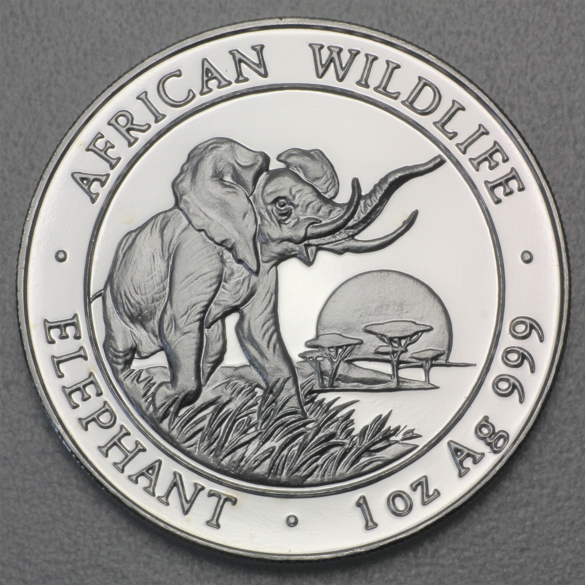 Silbermünze 1oz "Somalia Elefant 2010" Fehlprägung Motiv 2009 (Somalia) - Hauptansicht