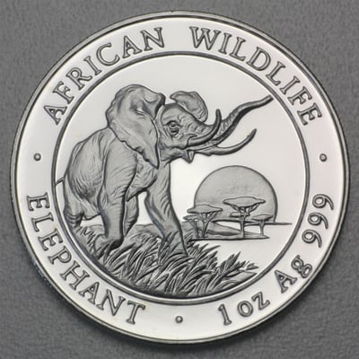 Silbermünze 1oz "Somalia Elefant 2010" Fehlprägung Motiv 2009 (Somalia) - Miniaturansicht 1