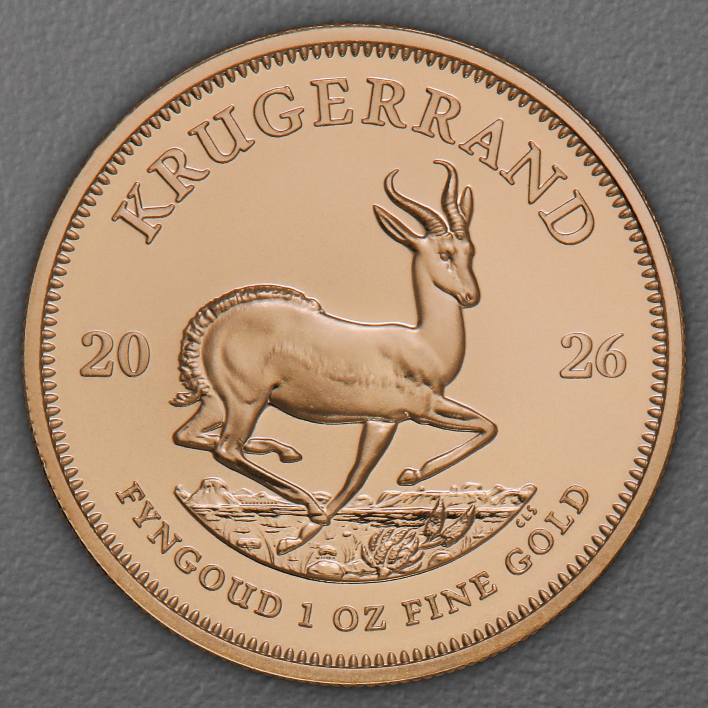 Goldmünze 15 x 1oz "Krügerrand" aktueller Jahrgang Tube (Südafrika) - Detailansicht 2