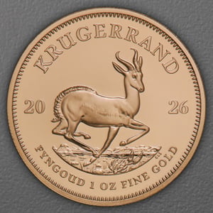 Goldmünze 15 x 1oz "Krügerrand" aktueller Jahrgang Tube (Südafrika) - Miniaturansicht 3