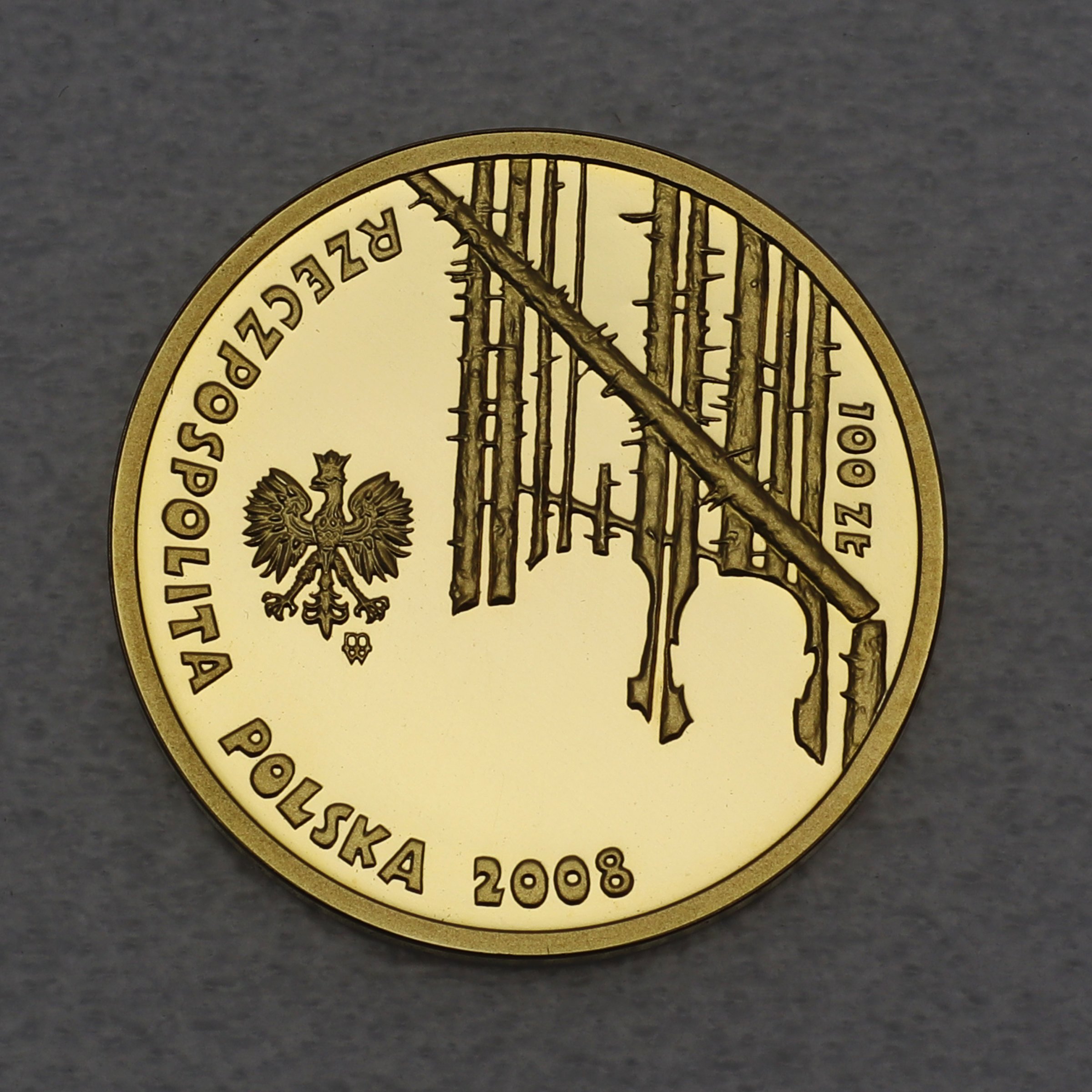 Goldmünze 100 Zloty "Sibirische Exilanten" 2008 (Polen) - Detailansicht 1