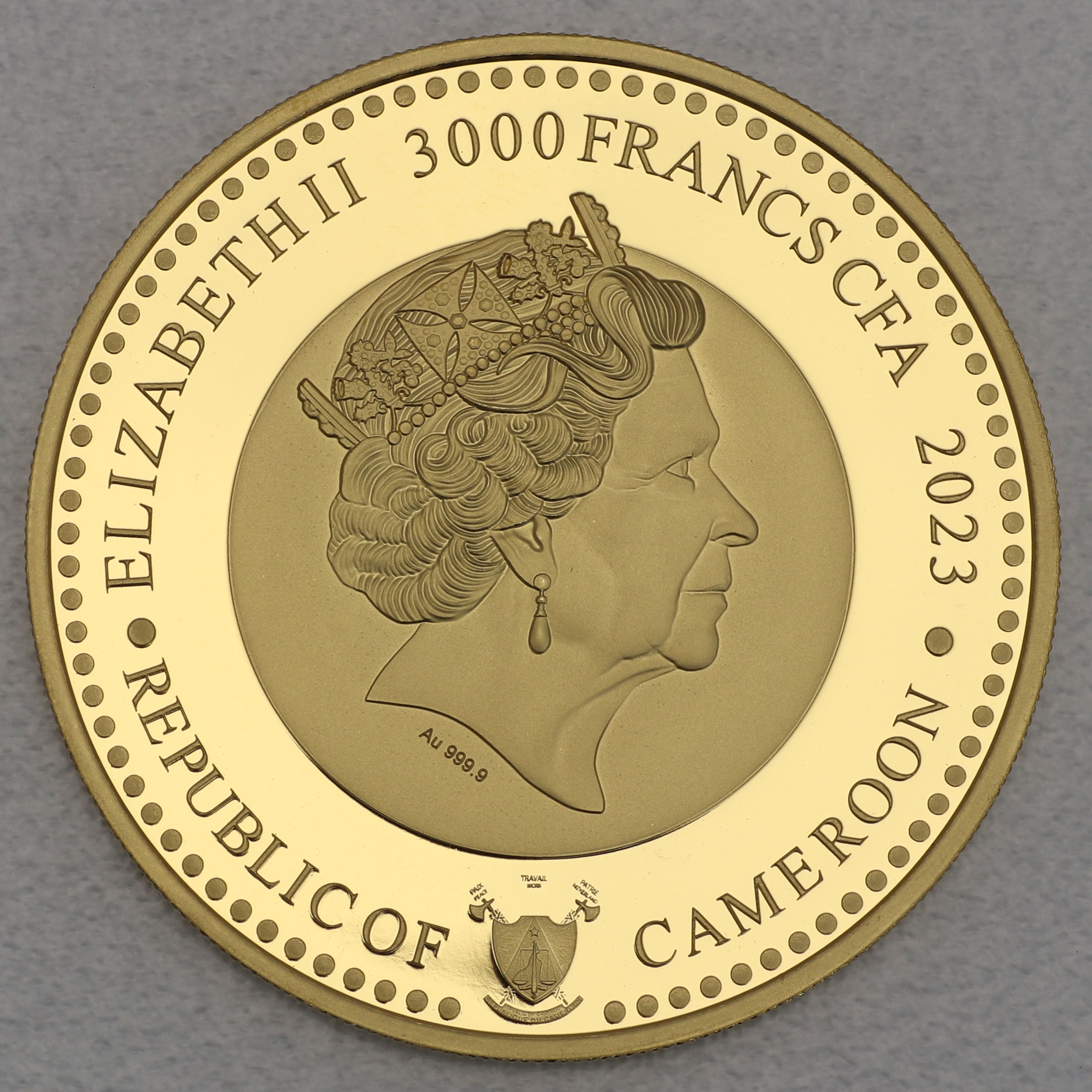 Goldmünze 1oz "Chihuahua" 2023 World Famous Dogs (Kamerun) - Detailansicht 1